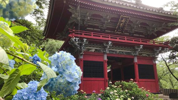 Amabikisan Rakuhōji (Amabiki Kannon)