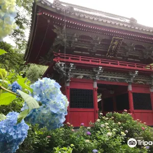 雨引観音