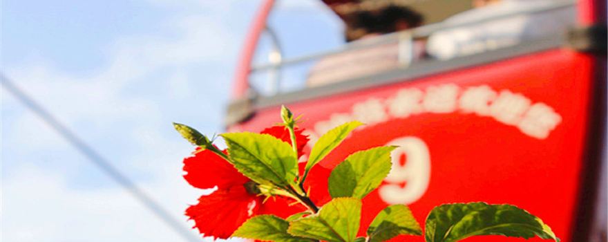 Zhonggu Cable Car