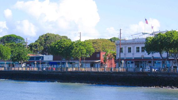 Лахайна Баньян Корт