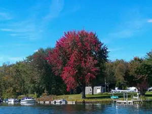 Duck Lake Campgrounds