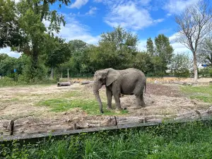 City Zoological Garden in Warsaw