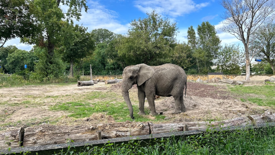 City Zoological Garden in Warsaw