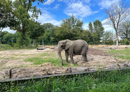 City Zoological Garden in Warsaw