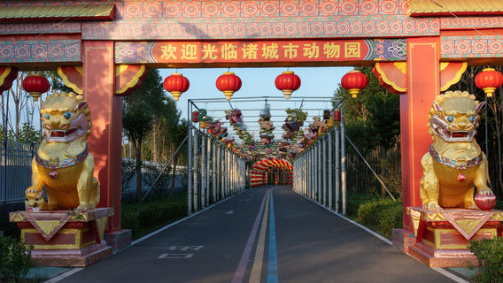 Weifang