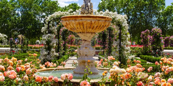 El Retiro Park image 2