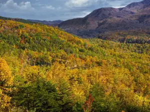 Attrazioni per la visione autunnale a Tennessee: le opzioni più popolari