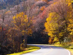Parco nazionale delle Great Smoky Mountains