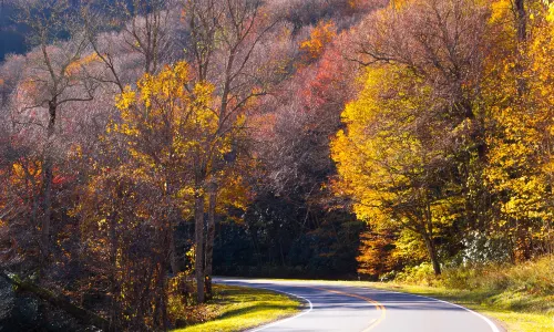 Parco nazionale delle Great Smoky Mountains