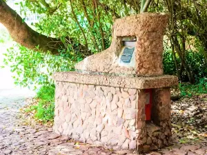 Post Office Tree