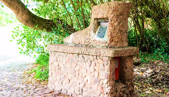 Post Office Tree