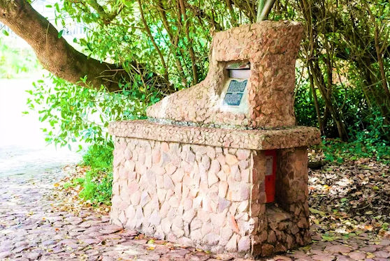 Post Office Tree