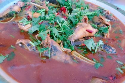 彭启饭店彭五羊肉汤枣庄辣子鸡运河野生鱼(古城西门店)