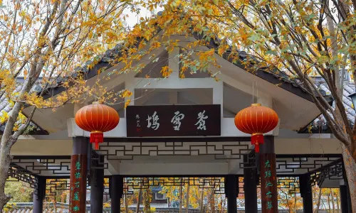 Mochi Park