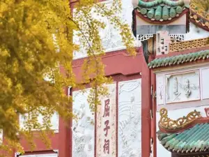 Popular Fall Viewing Attractions in Miluo