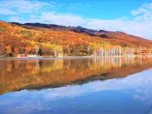 Peak Rock Shanzhai
