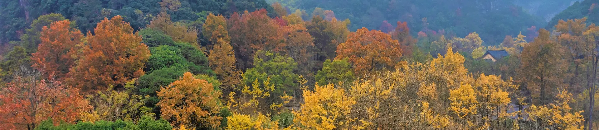 Fall Viewing Attractions