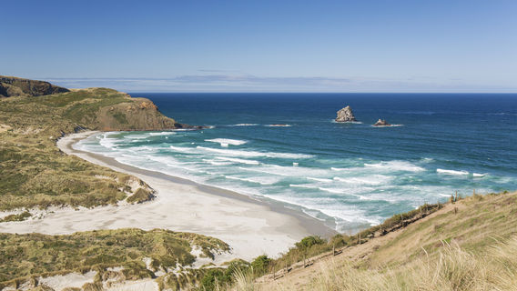Sandfly Bay Track