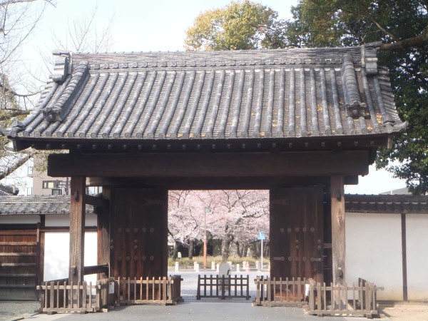 Early spring events at Tokugawaen Garden | Tokugawaen Garden