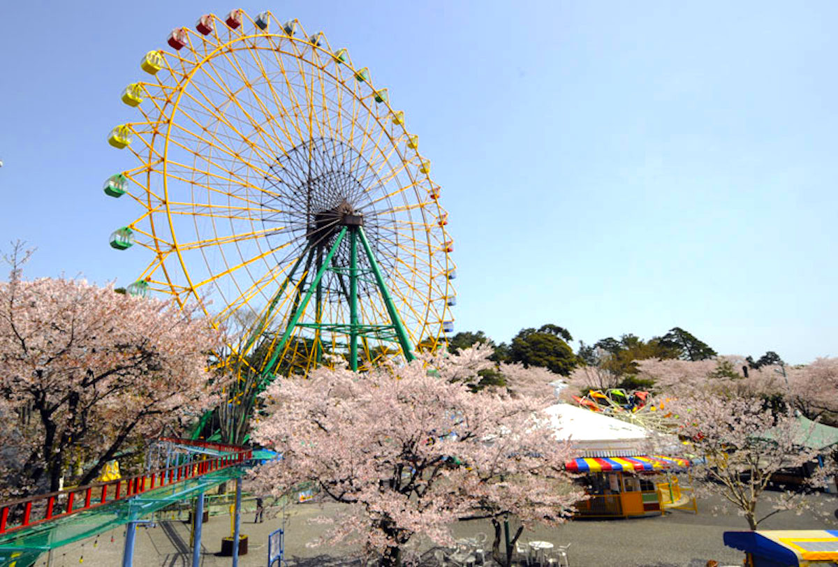 華蔵寺公園花まつり | 伊勢崎