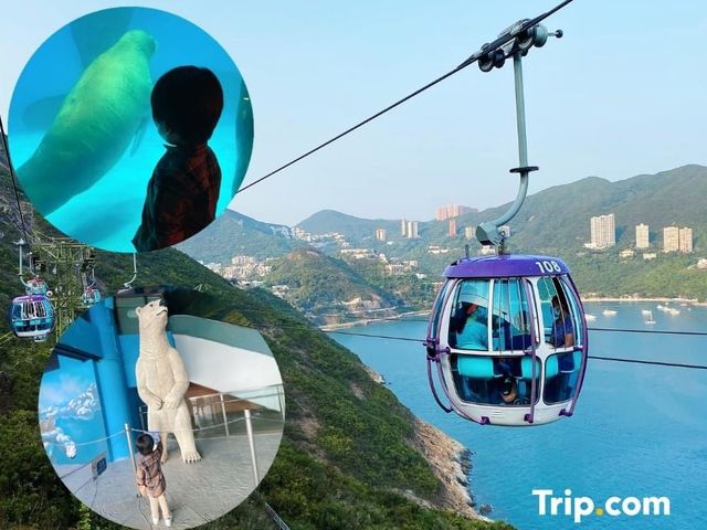 睇靚景、玩遊戲！香港海洋公園親子游