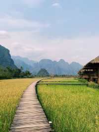 Floating on the rice field 