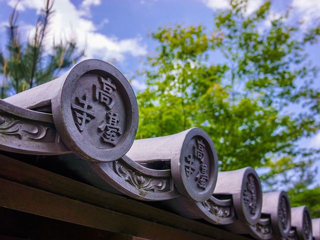高台寺で優雅な竹林を満喫