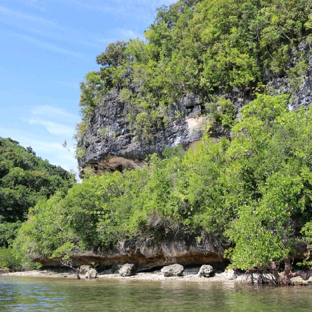 Lamanok Island Mystic Tour Experience