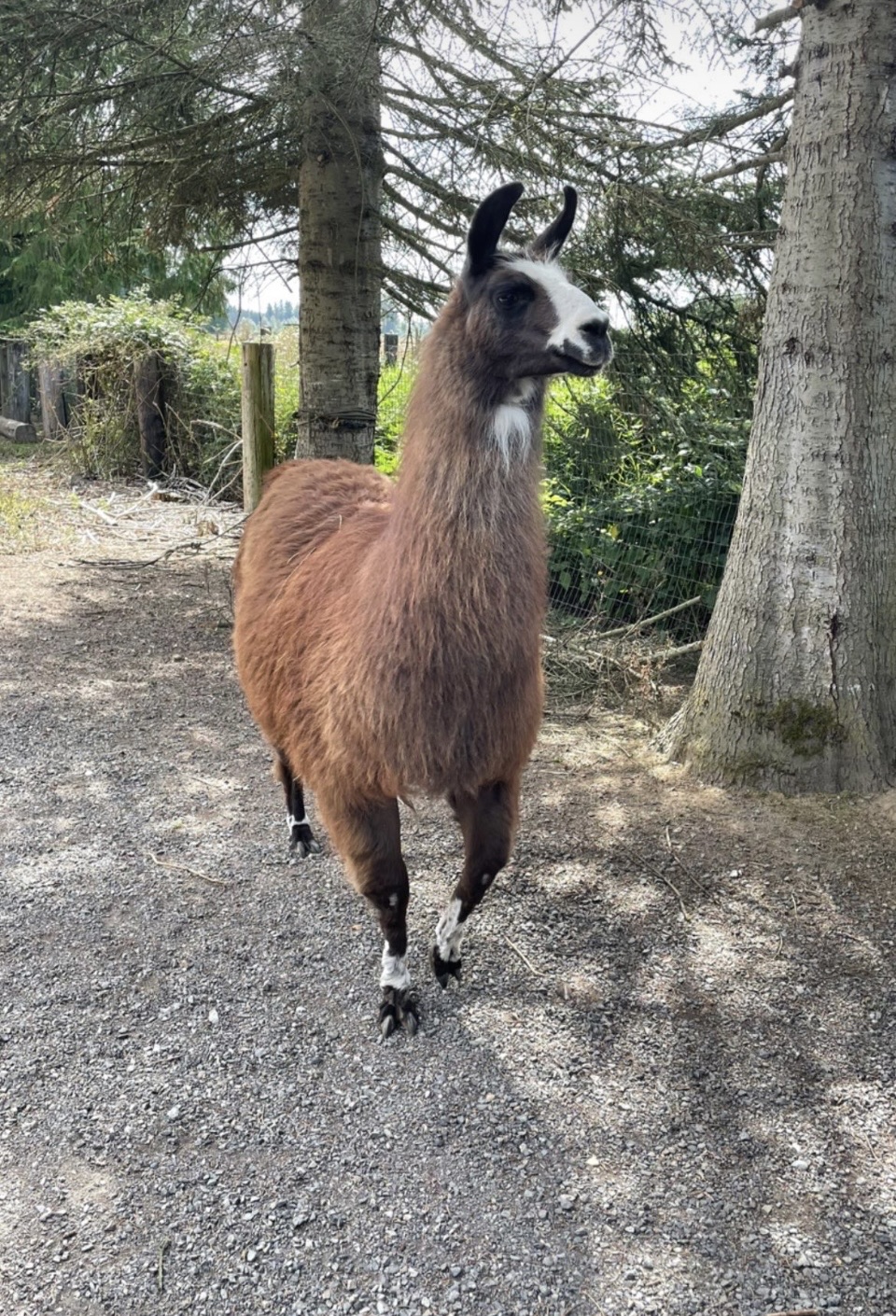 ウッドランドパーク動物園のレビュー ウッドランドパーク動物園のチケット ウッドランドパーク動物園の割引 ウッドランドパーク動物園の交通機関 所在地 営業時間 ウッドランドパーク動物園周辺の観光スポット ホテル グルメ Trip Com