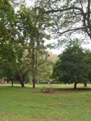 Nairobi Arboretum