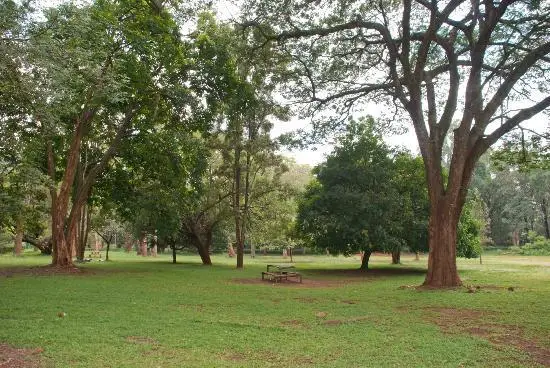 The Nairobi Arboretum