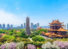 星宇航空台北飛福州