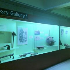 ビティ レブ島 フィジーズ エクルーサイブ ミュージアム 評判 案内 トリップドットコム