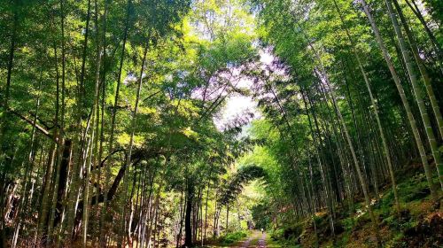 Shennong Valley National Forest Park