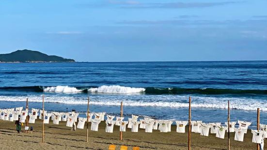 在海岸绵延4公里的平缓沙滩，海浪和沙滩上的贝壳、漂流木、小生