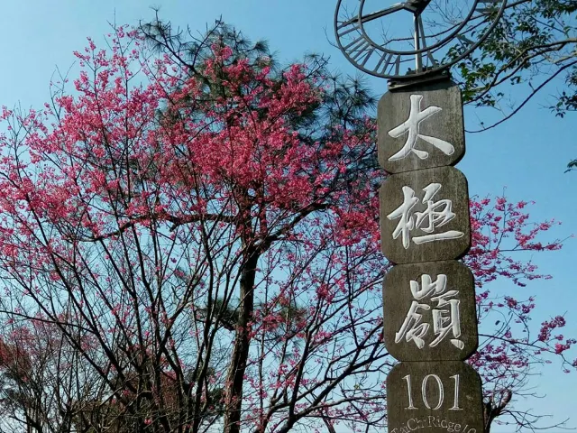 【櫻花季】粉紅大爆發,新北13處賞櫻勝地推薦打卡熱點一次看