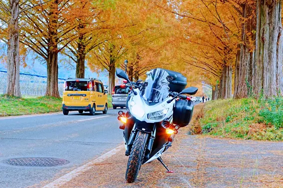 【2021年の日帰り旅・関西編】絶対行ってみたい！関西の人気スポット５選！