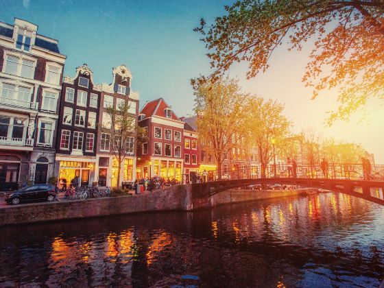 Canals of Amsterdam