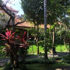 Bebek Bengil Ubud User Photo