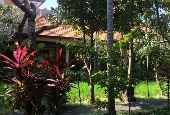 Bebek Bengil Ubud User Photo