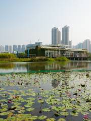 Wetland Discovery Centre