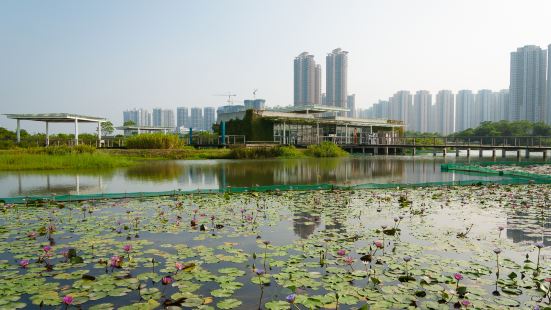 Wetland Discovery Centre