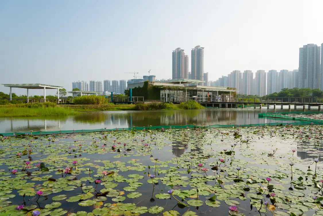 Hotels near Wetland Discovery Centre