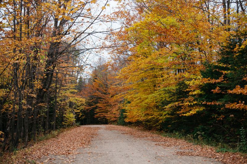 Jacques-Cartier Park