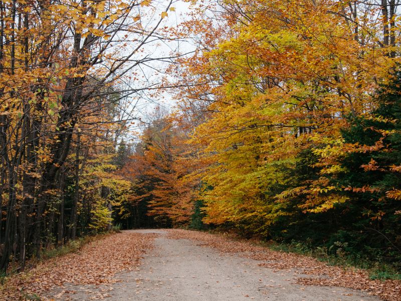 Jacques-Cartier Park