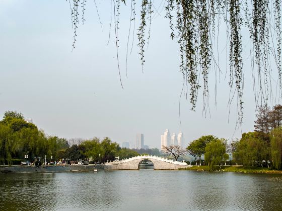 Xinghuatan Park