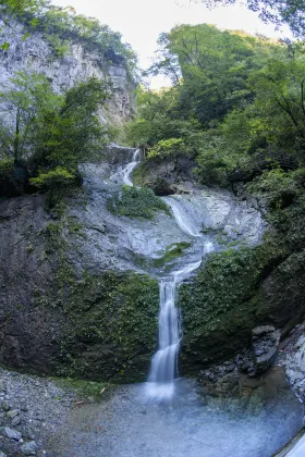 Flights from Busan to Shennongjia