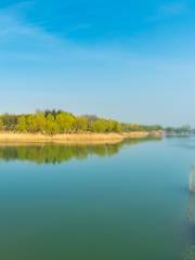 Wenshang Lianhuahu Wetland Sceneic Area