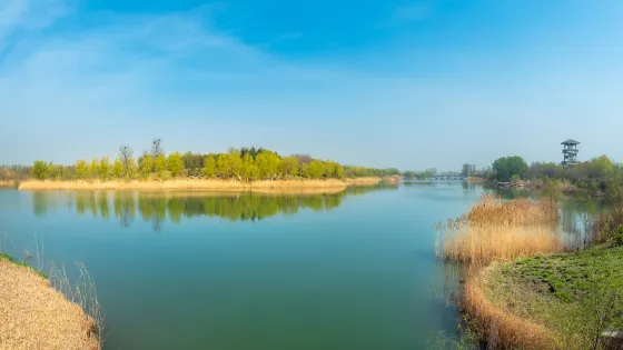 汶上蓮花湖濕地景區