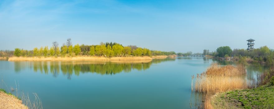 Wenshang Lianhuahu Wetland Sceneic Area